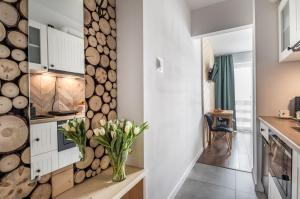 Kuchyňa alebo kuchynka v ubytovaní Apartamenty Smrekowa Turnia
