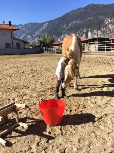 Επισκέπτες που μένουν στο B&B Margit's Ranch Urlaub am Pferdehof
