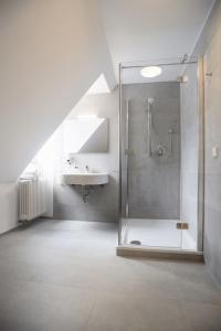 y baño con ducha y lavamanos. en Landhaus Hechtsberg, en Hausach