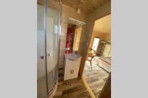 Massillargues-Attuech的住宿－Charmant Chalet pour 2 personnes SPA privé，一间带水槽和镜子的小浴室