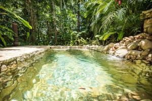 a swimming pool in the middle of a forest at Hotel Boutique Quinta Chanabnal in Palenque
