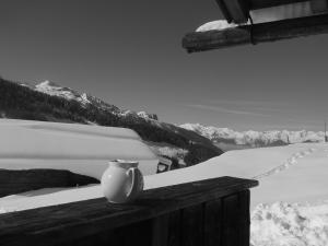 Badererhof Christine Wechselberger durante l'inverno