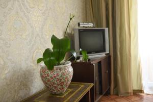 Φωτογραφία από το άλμπουμ του Apartment Chernovola 7A σε Shostka