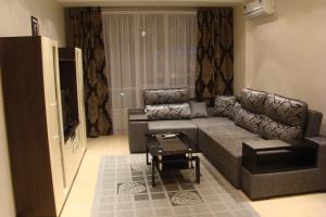 a living room with a couch and a television at Alex Apartments on Lva Tolstogo in Kyiv
