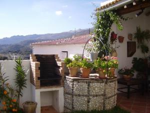 patio con piante in vaso in cima a un edificio di Casa Isabel by CasaTuristica a Parauta