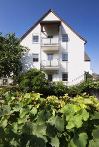 ein weißes Gebäude mit Pflanzen davor in der Unterkunft Weingut & Gästehaus Christoph Clüsserath in Trittenheim