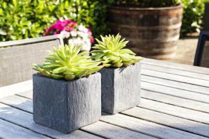 two concrete planters on a wooden table with plants at Weingut & Gästehaus Christoph Clüsserath in Trittenheim