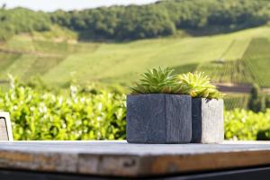 a potted plant sitting on a table with a view at Weingut & Gästehaus Christoph Clüsserath in Trittenheim