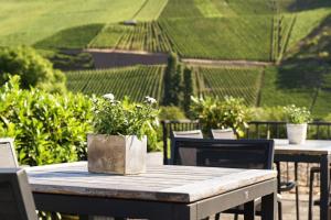 Zahrada ubytování Weingut & Gästehaus Christoph Clüsserath