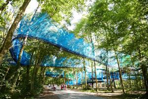 Afbeelding uit fotogalerij van La Cooconing in Fresnicourt-le-Dolmen