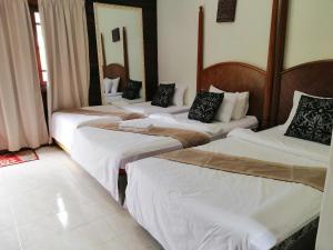 Ảnh trong thư viện ảnh của AsiaCamp Taman Negara Resort ở Kuala Tahan +13 ảnh