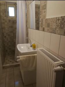 a bathroom with a sink and a mirror and a shower at Orsi Apartman / vendegház in Kecskemét