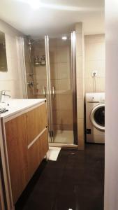 La salle de bains est pourvue d'une douche, d'un lavabo et d'un lave-linge. dans l'établissement Cosy appartement, dans les pentes de la Croix Rousse, à Lyon