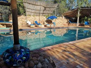 a swimming pool with chairs and umbrellas next to it at Amber Lagoon Backpackers Lodge in Vleirivier