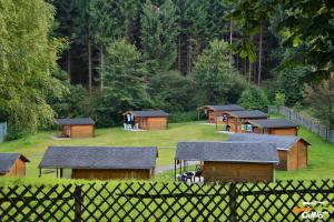eine Gruppe von Holzhütten auf einem Feld mit Bäumen in der Unterkunft Blockhütte am Kegelsberg in Gelenau