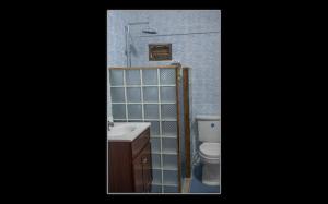 a bathroom with a toilet and a sink at Fuego Mio Bed & Breakfast in Santa Cruz
