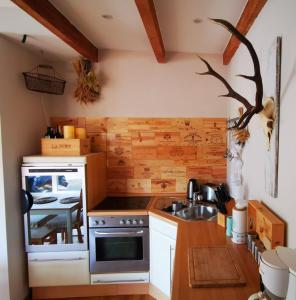 eine Küche mit einer Spüle und einem Herd Top-Backofen in der Unterkunft Ferienwohnung Sternstube De Luxe in Bad Harzburg