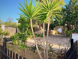 Zahrada ubytování Vivelorural Casa y piscina en Zahara de la Sierra