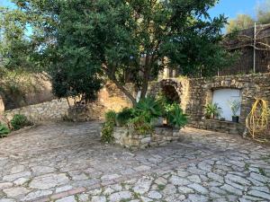 Zahrada ubytování Vivelorural Casa y piscina en Zahara de la Sierra