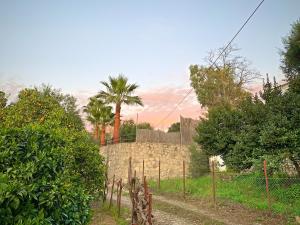 Zahrada ubytování Vivelorural Casa y piscina en Zahara de la Sierra