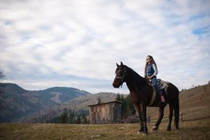 Fotografie z fotogalerie ubytování Хата Різьбяра v destinaci Beloberëzka