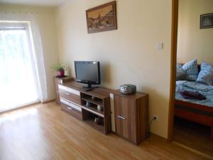 una habitación con TV en un tocador y una cama en Apartmán Seč, en Seč