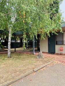 a building with a tree and a chair in front of it at Caledonian Hotel Motel in Hamilton