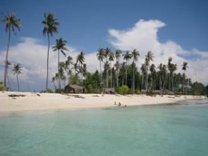 ชายหาดของโรงแรมหรือชายหาดที่อยู่ใกล้ ๆ