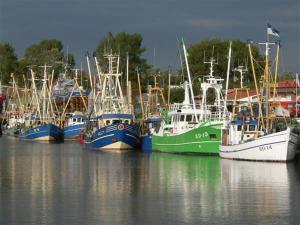 Gallery image of Bauernhof am Wattenmeer, Ferienwohnung Deichblick in Osterhever