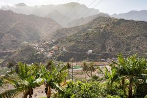 vistas a un valle de montaña con palmeras en Home2Book Stunning View La Era de Hermigua & Wifi, en Hermigua