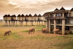 eine Gruppe Elefanten, die vor einem Gebäude spazieren in der Unterkunft Salt Lick Safari Lodge in Tsavo
