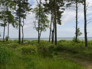 a path in the grass with trees in the background at Cozy Holiday Home in Nexo with Sauna in Snogebæk