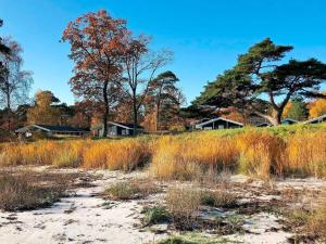 SnogebækにあるCozy Holiday Home in Nexo with Saunaの背景の高い草原