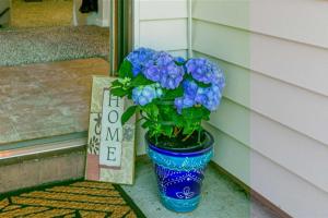 a blue plant in a blue pot next to a door at Blue Heron in Jacksonville