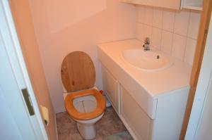 a small bathroom with a toilet and a sink at Sänkelä Cottage in Lämsä