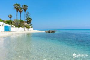 una spiaggia con palme e l'oceano di Residence Albatros a Briatico