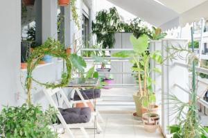 ein Raum voller Pflanzen in der Unterkunft Bright Eco Studios in Athen