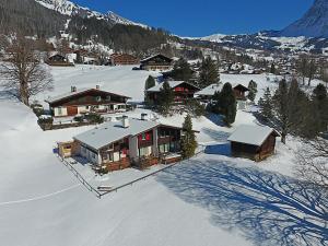 een luchtzicht op een huis in de sneeuw bij Apartment Nussbaum - GRIWA RENT AG in Grindelwald