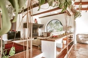 Bany a Umbria Luxury Villa Pool&OliveTrees