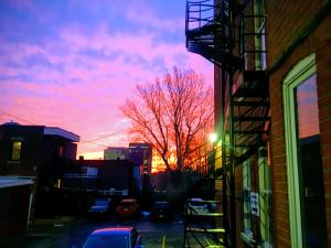 einen Sonnenuntergang in einer Stadt mit einem Baum und einem Gebäude in der Unterkunft Hotel Chateau de l'Argoat in Montreal