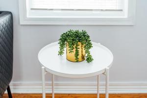 Perfect and Lovely 2BR Apartment in Logan Square!