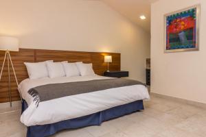 ein Schlafzimmer mit einem großen Bett in einem Zimmer in der Unterkunft Arawi Hotel Boutique in Valle de Bravo