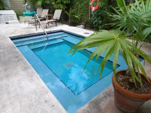 a swimming pool with a potted plant next to it at Authors Key West Guesthouse in Key West