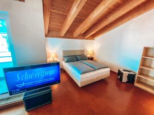 TV a/nebo společenská místnost v ubytování Hotel Schwertfirm