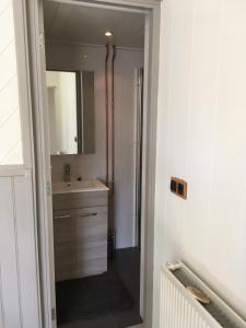 La salle de bains est pourvue d'un lavabo et d'un miroir. dans l'établissement Sfeervol 't Rustpunt, à Bierum