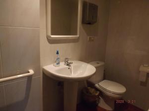 a small bathroom with a sink and a toilet at La Barbacana in Tramacastiel