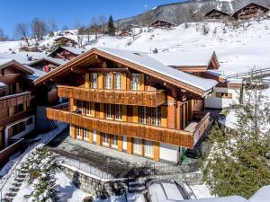 una vista aérea de una casa en la nieve en Apartment Felix - GRIWA RENT AG en Grindelwald