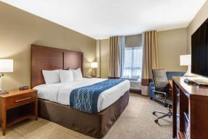 Gallery image of Comfort Inn Aikens Center in Martinsburg