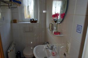 a bathroom with a sink and a toilet and a mirror at Ferienwohnung Tschitschmann in Naumburg