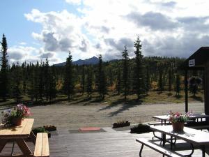 a picnic area with picnic tables and a field with trees at White Moose Lodge in Healy